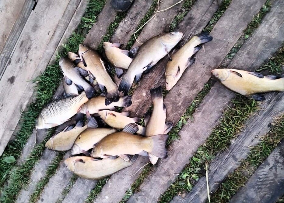 Офисы по адресу 